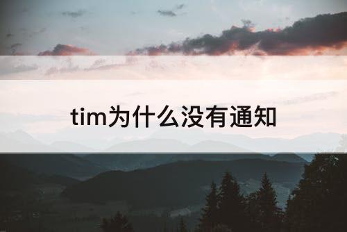 tim为什么没有通知