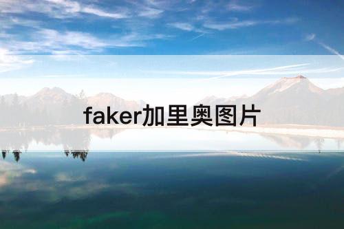 faker加里奥图片