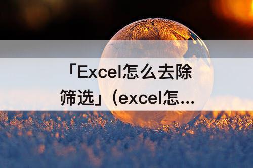 「Excel怎么去除筛选」(excel怎么去除筛选键)