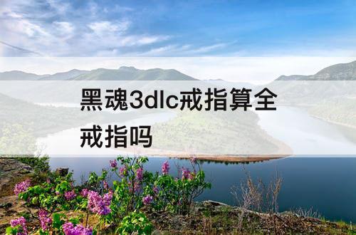 黑魂3dlc戒指算全戒指吗