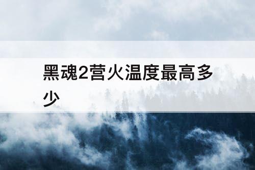 黑魂2营火温度最高多少