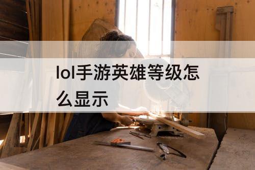 lol手游英雄等级怎么显示