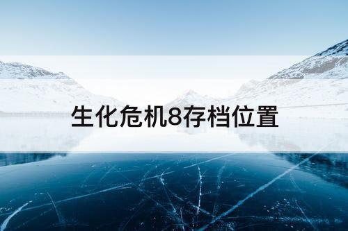 生化危机8存档位置
