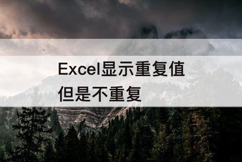 Excel显示重复值但是不重复