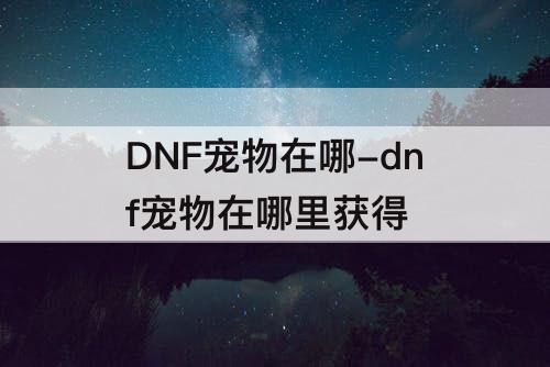 DNF宠物在哪-dnf宠物在哪里获得