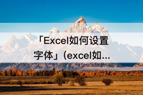 「Excel如何设置字体」(excel如何设置字体为负数颜色)