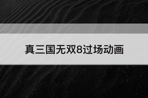 真三国无双8过场动画