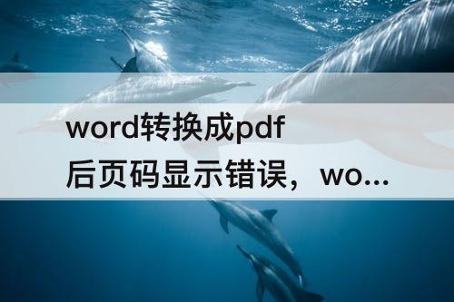 word转换成pdf后页码显示错误，word转换成pdf后页码显示错误为定义书签