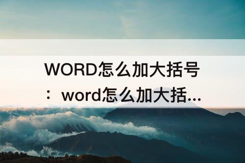 WORD怎么加大括号：word怎么加大括号占两行