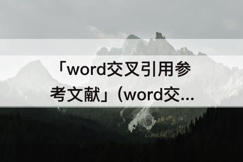 「word交叉引用参考文献」(word交叉引用参考文献怎么做)
