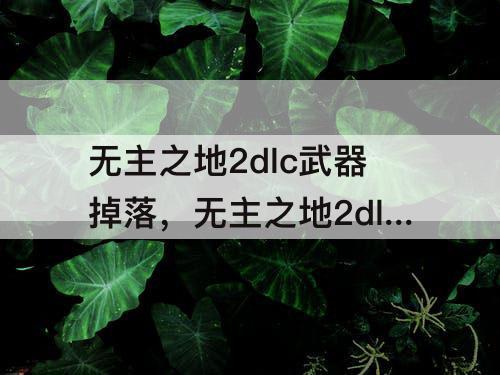 无主之地2dlc武器掉落，无主之地2dlc武器掉落表