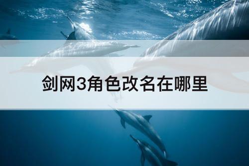 剑网3角色改名在哪里