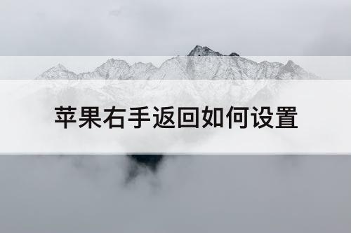 苹果右手返回如何设置