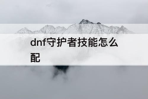 dnf守护者技能怎么配