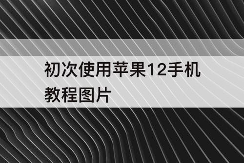 初次使用苹果12手机教程图片