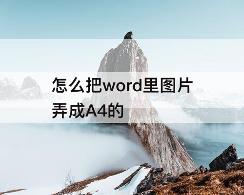 怎么把word里图片弄成A4的