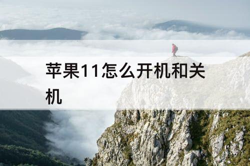 苹果11怎么开机和关机