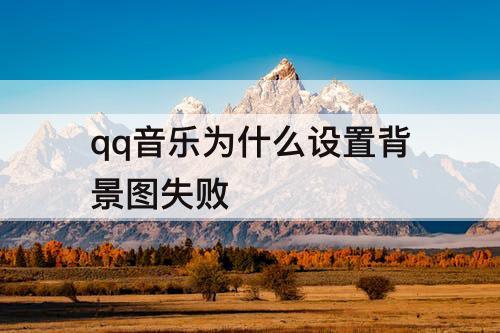 qq音乐为什么设置背景图失败
