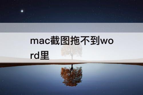 mac截图拖不到word里