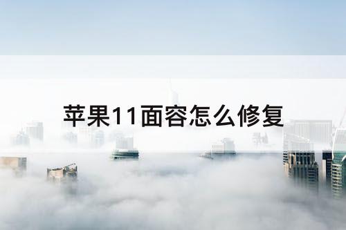 苹果11面容怎么修复
