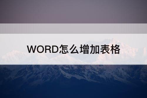 WORD怎么增加表格
