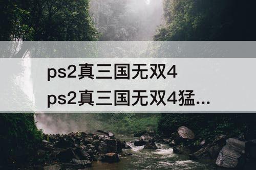 ps2真三国无双4 ps2真三国无双4猛将传道具