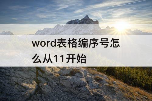 word表格编序号怎么从11开始