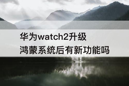 华为watch2升级鸿蒙系统后有新功能吗