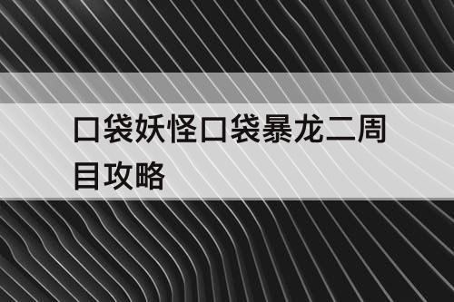 口袋妖怪口袋暴龙二周目攻略