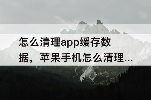 怎么清理app缓存数据，苹果手机怎么清理APP缓存数据