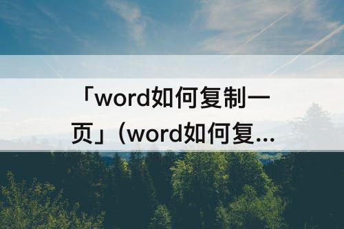 「word如何复制一页」(word如何复制一页内容)