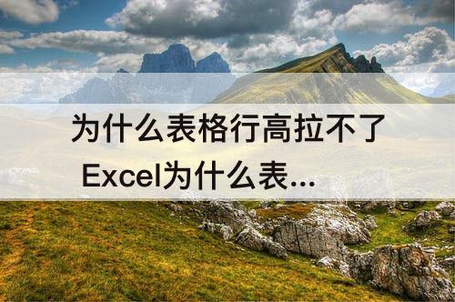 为什么表格行高拉不了 Excel为什么表格行高拉不了
