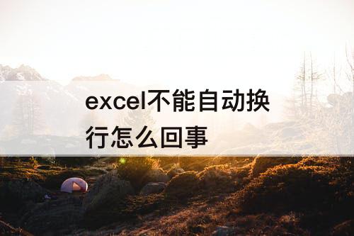 excel不能自动换行怎么回事