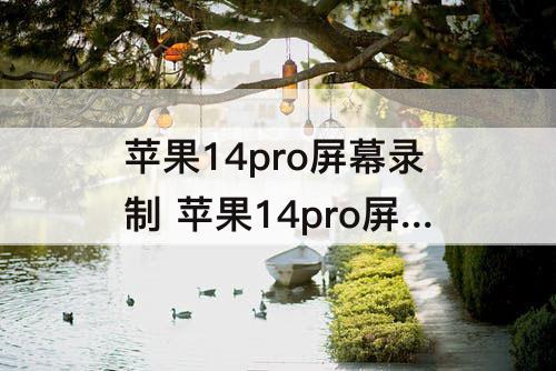 苹果14pro屏幕录制 苹果14pro屏幕录制录不了