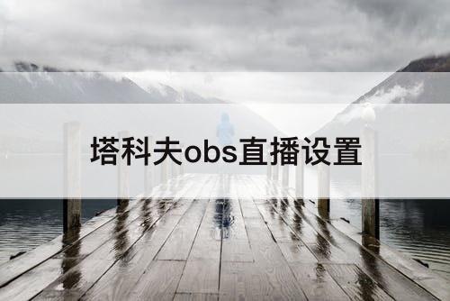 塔科夫obs直播设置