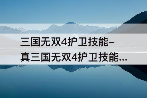三国无双4护卫技能-真三国无双4护卫技能介绍