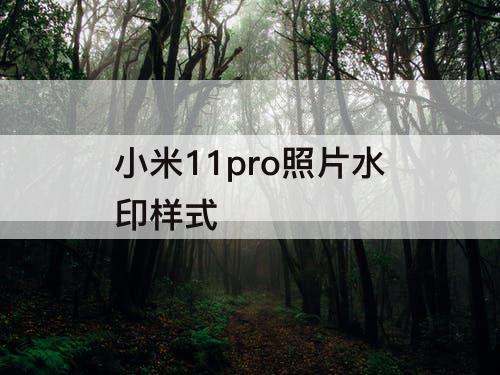 小米11pro照片水印样式