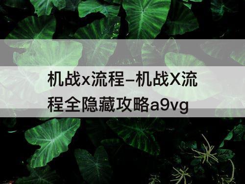 机战x流程-机战X流程全隐藏攻略a9vg