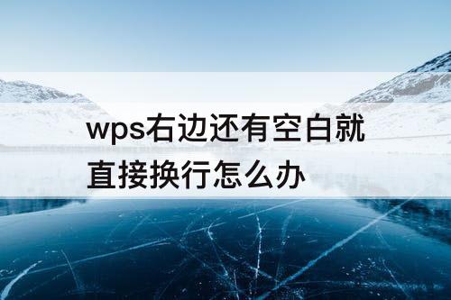 wps右边还有空白就直接换行怎么办