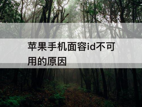 苹果手机面容id不可用的原因