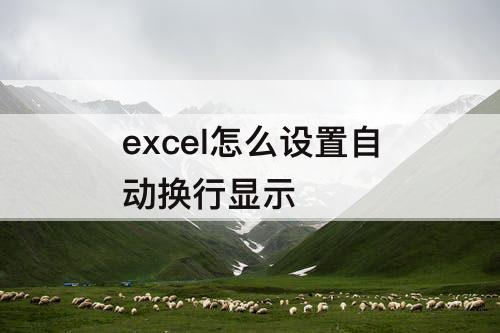 excel怎么设置自动换行显示