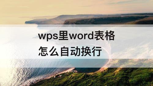 wps里word表格怎么自动换行