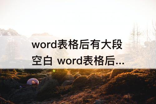 word表格后有大段空白 word表格后有大段空白不能删除