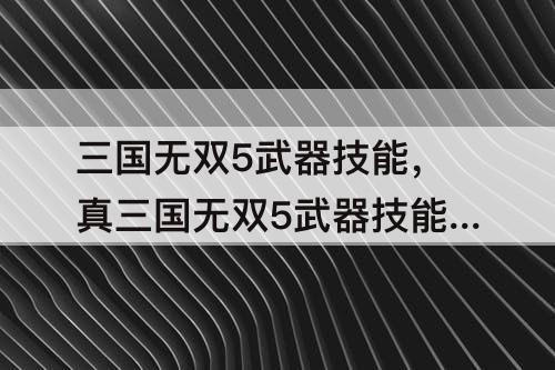 三国无双5武器技能，真三国无双5武器技能介绍