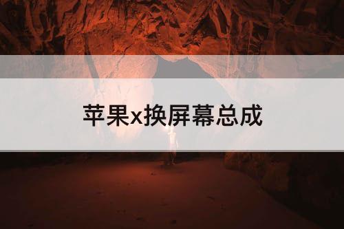 苹果x换屏幕总成