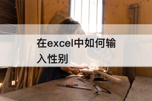 在excel中如何输入性别