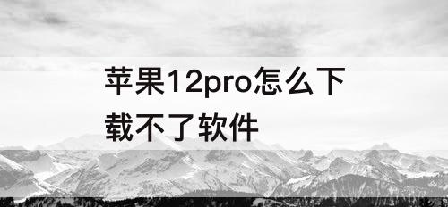 苹果12pro怎么下载不了软件