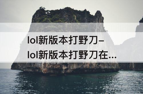 lol新版本打野刀-lol新版本打野刀在哪里