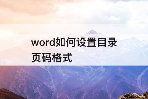 word如何设置目录页码格式