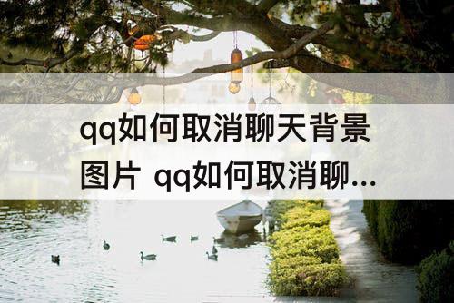qq如何取消聊天背景图片 qq如何取消聊天背景图片设置方法